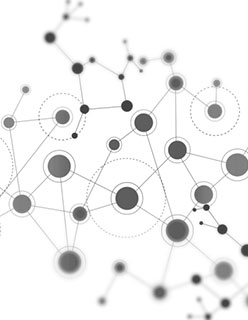Network
